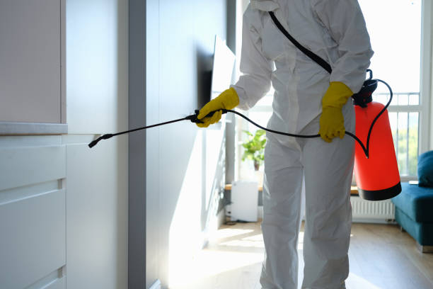 Best Residential Mold Removal  in Lake Summerset, IL