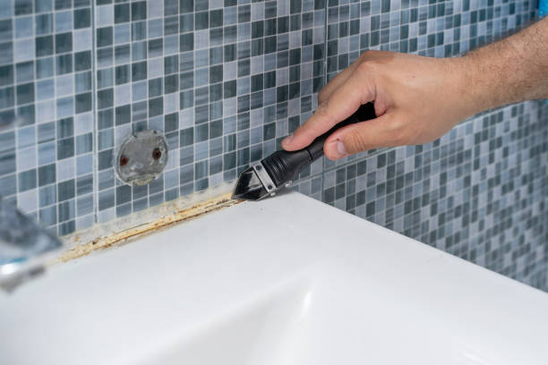 Best Emergency Mold Removal  in Lake Summerset, IL